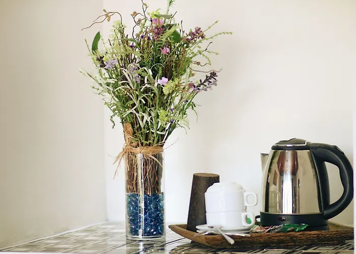 Bed & Breakfast S.r Sofia